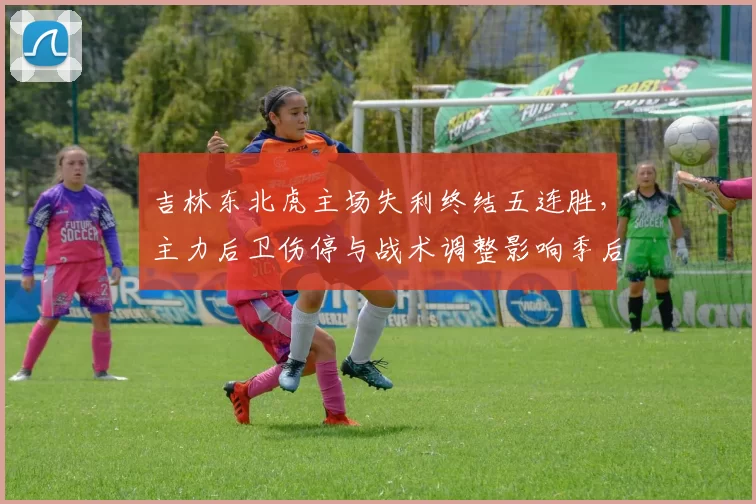 吉林东北虎主场失利终结五连胜，主力后卫伤停与战术调整影响季后赛名次