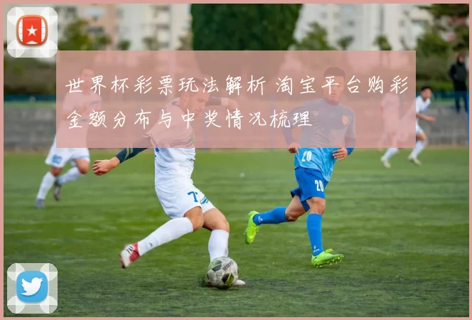 世界杯彩票玩法解析 淘宝平台购彩金额分布与中奖情况梳理