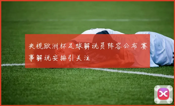 央视欧洲杯足球解说员阵容公布 赛事解说安排引关注